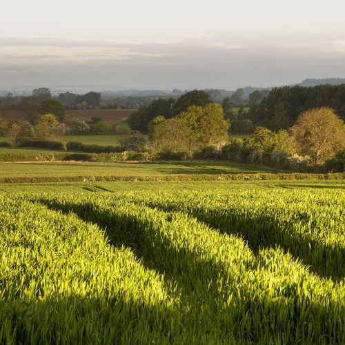 Northern Warwickshire View